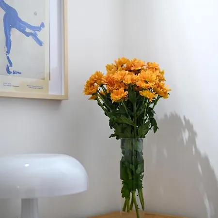 Old Town Oasis - Chic Comfort & Elegance Apartment Bratislava