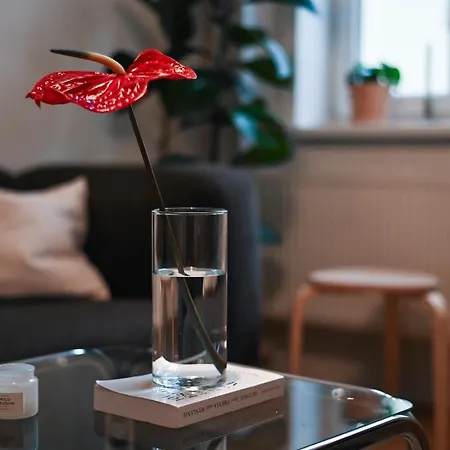 Old Town Oasis - Chic Comfort & Elegance Bratislava