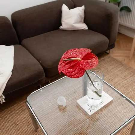 Old Town Oasis - Chic Comfort & Elegance Apartment Bratislava